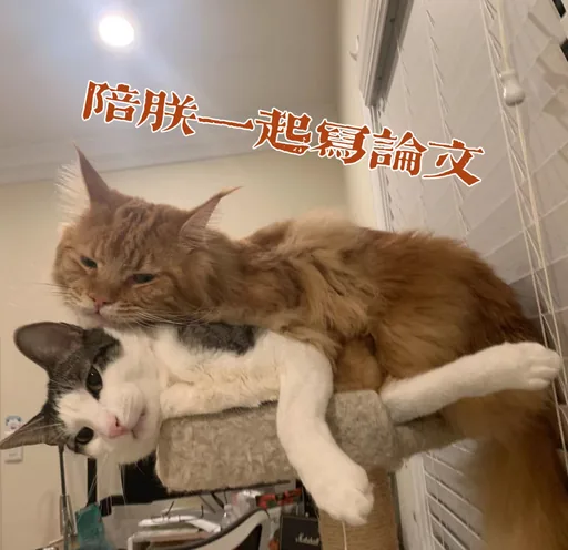 陛下 · 2022-10