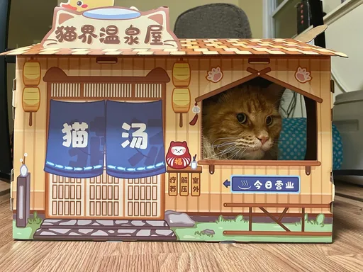 陛下 · 2023-10