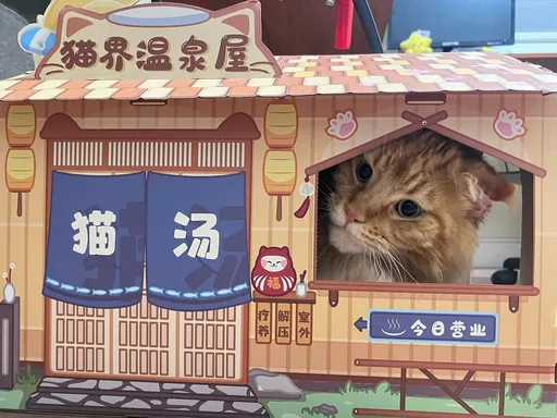陛下 · 2024-01