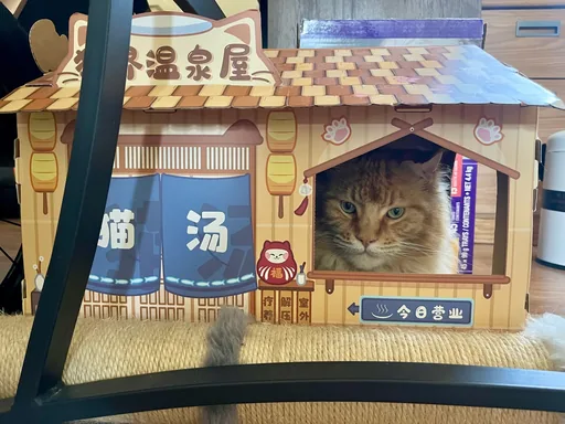 陛下 · 2024-05