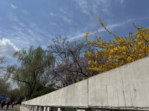 北京 · 2025-03